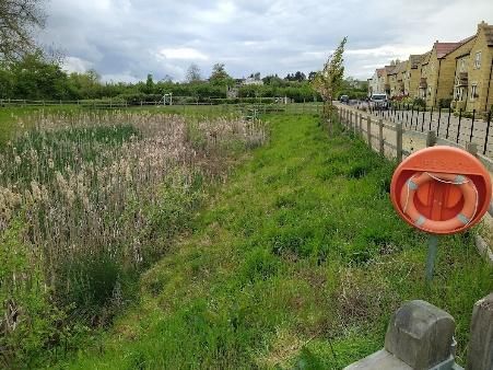 Pond with reeds, embankment, and emergency equipment, fenced off from housing estate